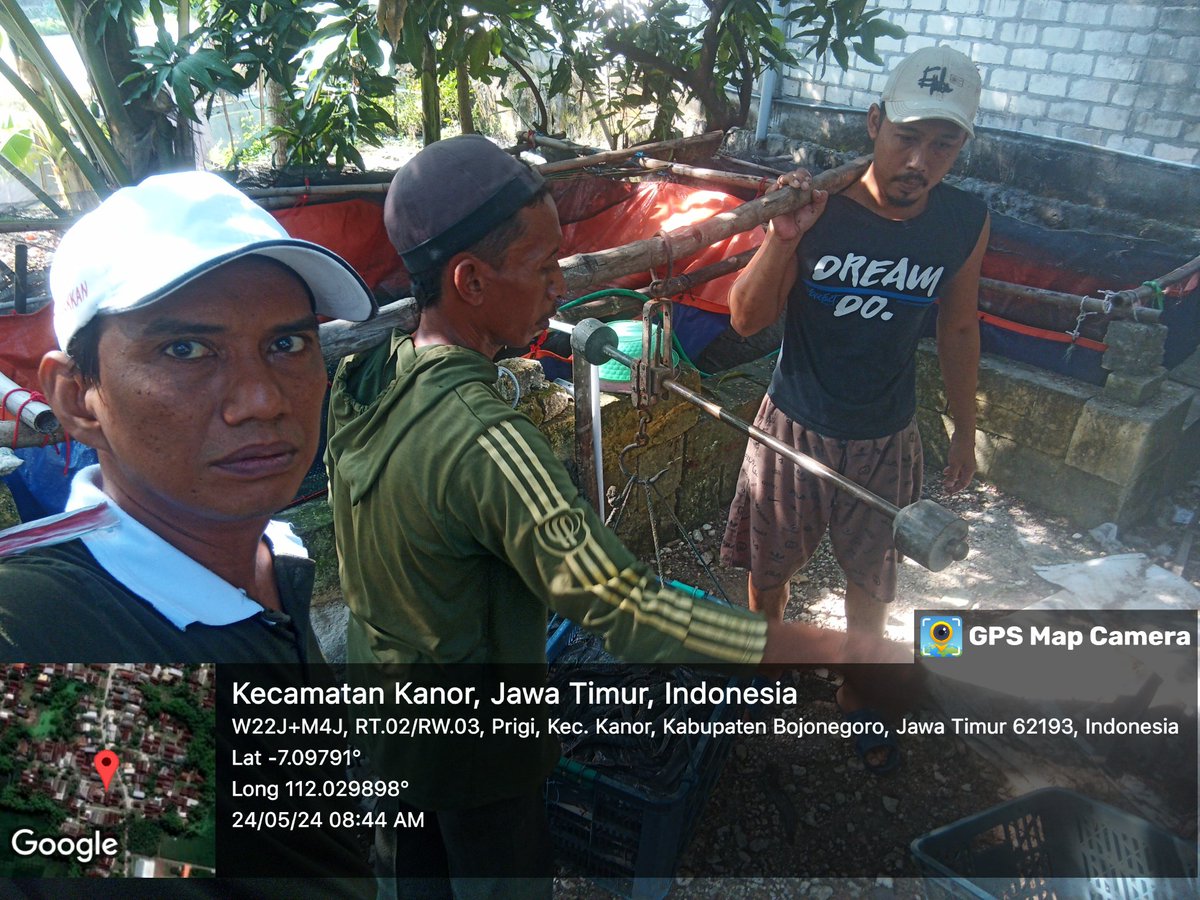 caturagungprab3's tweet photo. Sabtu (24-5-2024) Catur A P, Luhkan Bojonegoro, mendampingi #panen Lele di Riyanto Ds prigi, sebanyak 106kg, kolam size 8-10 ek/kg, harga Rp. 19.000/kg
#GiatLuhkanSatminkalBWI
#Bnegoro 
@puslatluhkp
@bppp_banyuwangi
@brsdm_kp https://t.co/XsYLZ1Qlf7