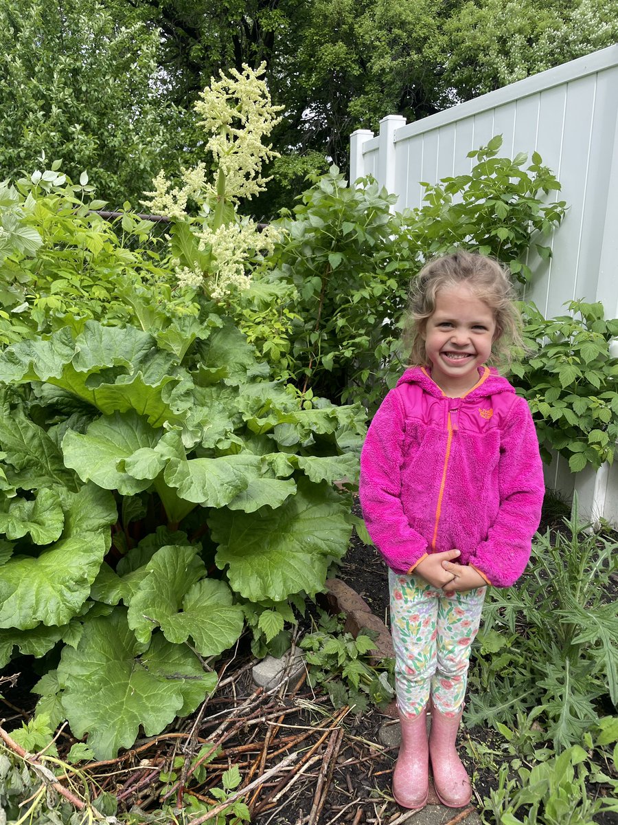 Craig Carlson tweet media