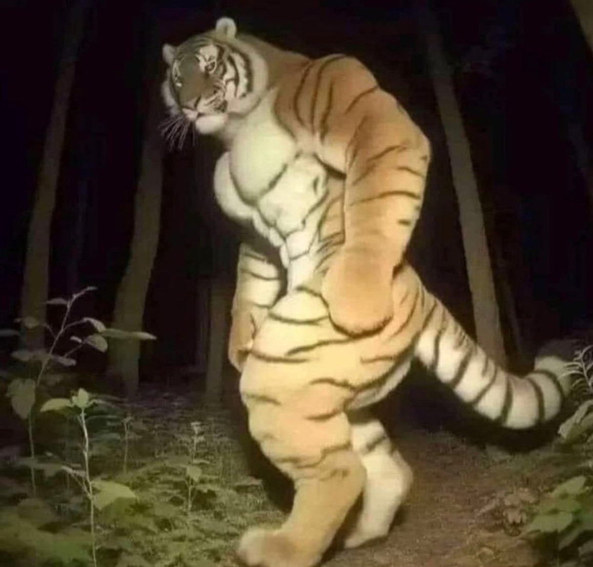 AmmarMulla28620's tweet photo. @mememe69696969 Profit??? @YUJAcoin believes in being an asset.
All the cats are scared af 😎 https://t.co/HHEN6TVKUO