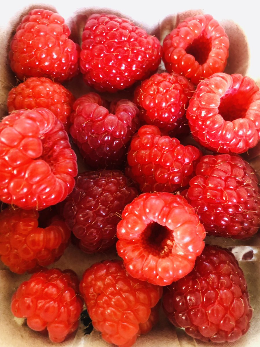 ContFruitsTavistock tweet media