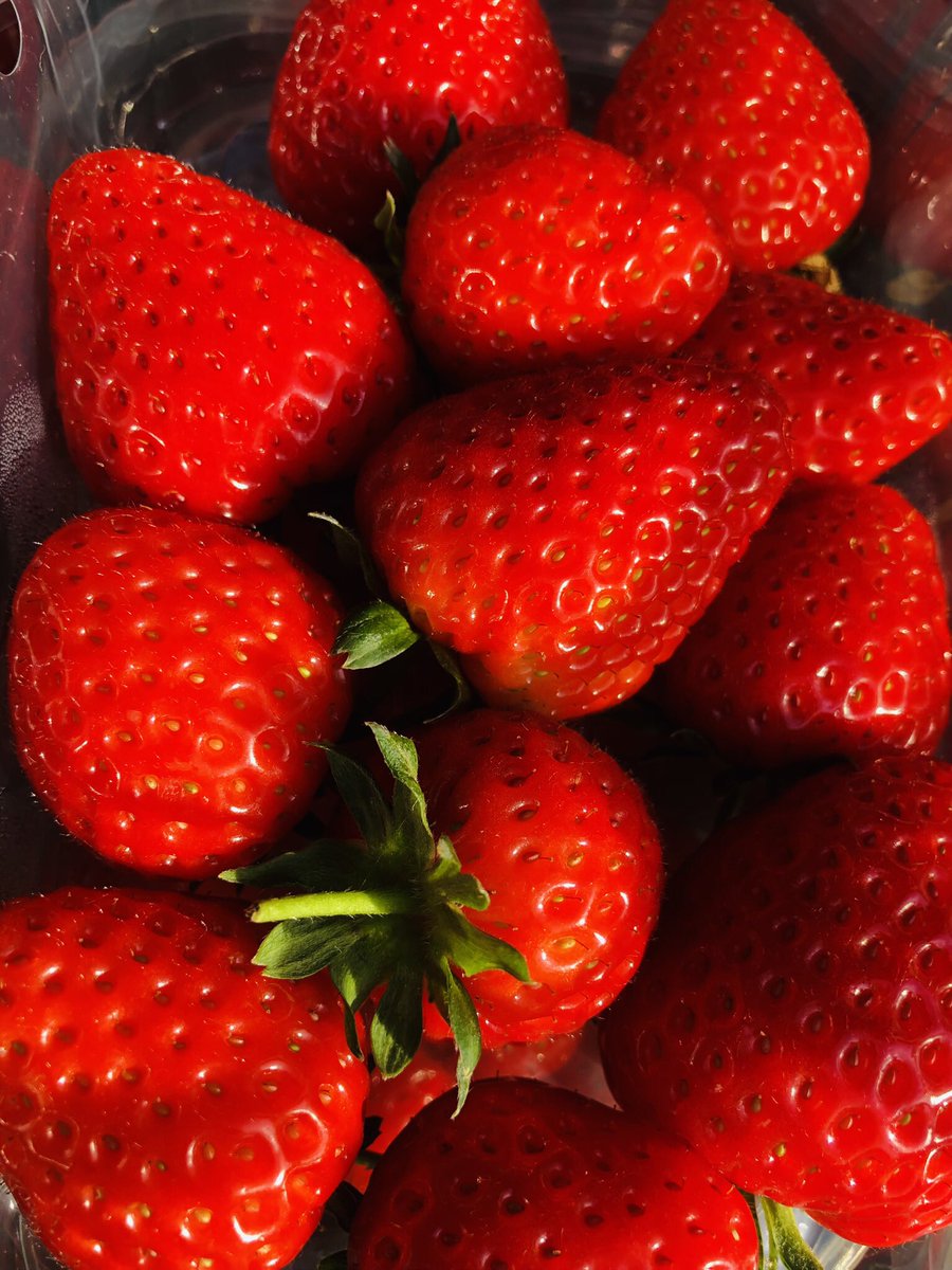 ContFruitsTavistock tweet media