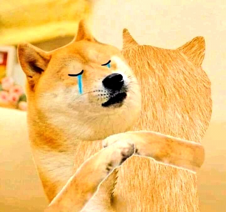 Itzmadh's tweet photo. Intha dog dead acham 🥲
News la Potaga Ana Ithoda Name Vera Etho Potrunthaga 😐

#RipCheems https://t.co/ZJYgErAthS
