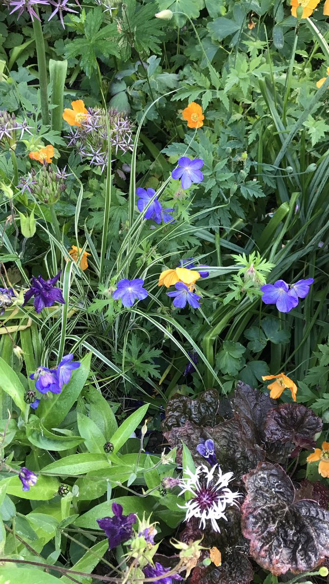 Glorious morning ☀️…Having a coffee in the garden at the moment soaking up everything that nature has to offer…. Absolute bliss 🥰… Have a blinder & happy gardening 👩‍🌾….. HAPPY DAYS!!! 😊 #GardeningX #MyGarden #FoodForTheSoul