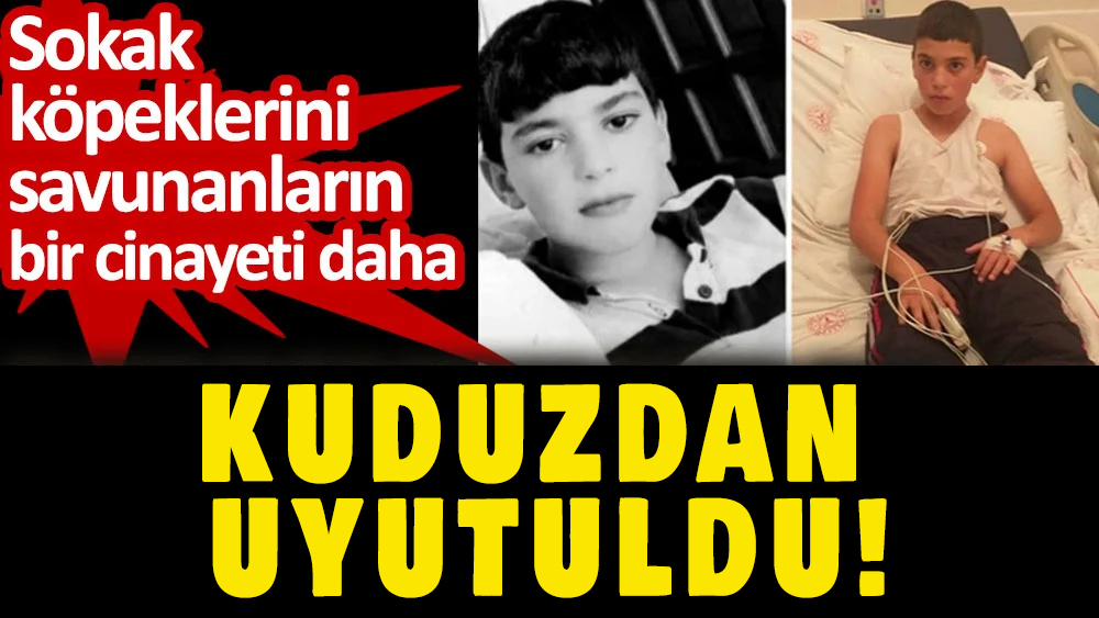 Mustafa Erçetin köpek saldırısında kuduz oldu. Bağıra bağıra ölmesin diye uyuttular.

Dünyanın hangi ülkesinde köpekler değil insanlar uyutuluyor?