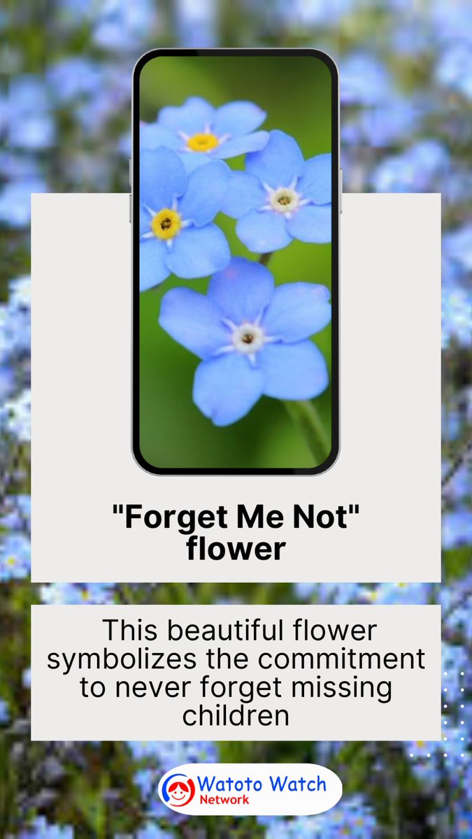 WatotoWatchNet's tweet photo. Today on International Missing Children's Day, we honor and remember missing children with the "Forget Me Not" flower.

This beautiful flower symbolizes the commitment to never forget these children and to keep hope alive for their safe return.

@missingchild_ke @missingchildtz https://t.co/qvls3qfMuE