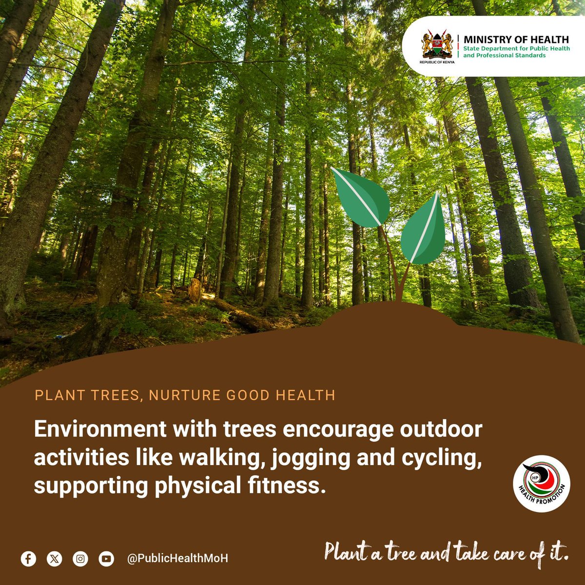 Trees are more than just greenery; they're the guardians of our planet. Let's celebrate their beauty and vital role in purifying the air we breathe. Plant a tree today and secure a greener tomorrow!