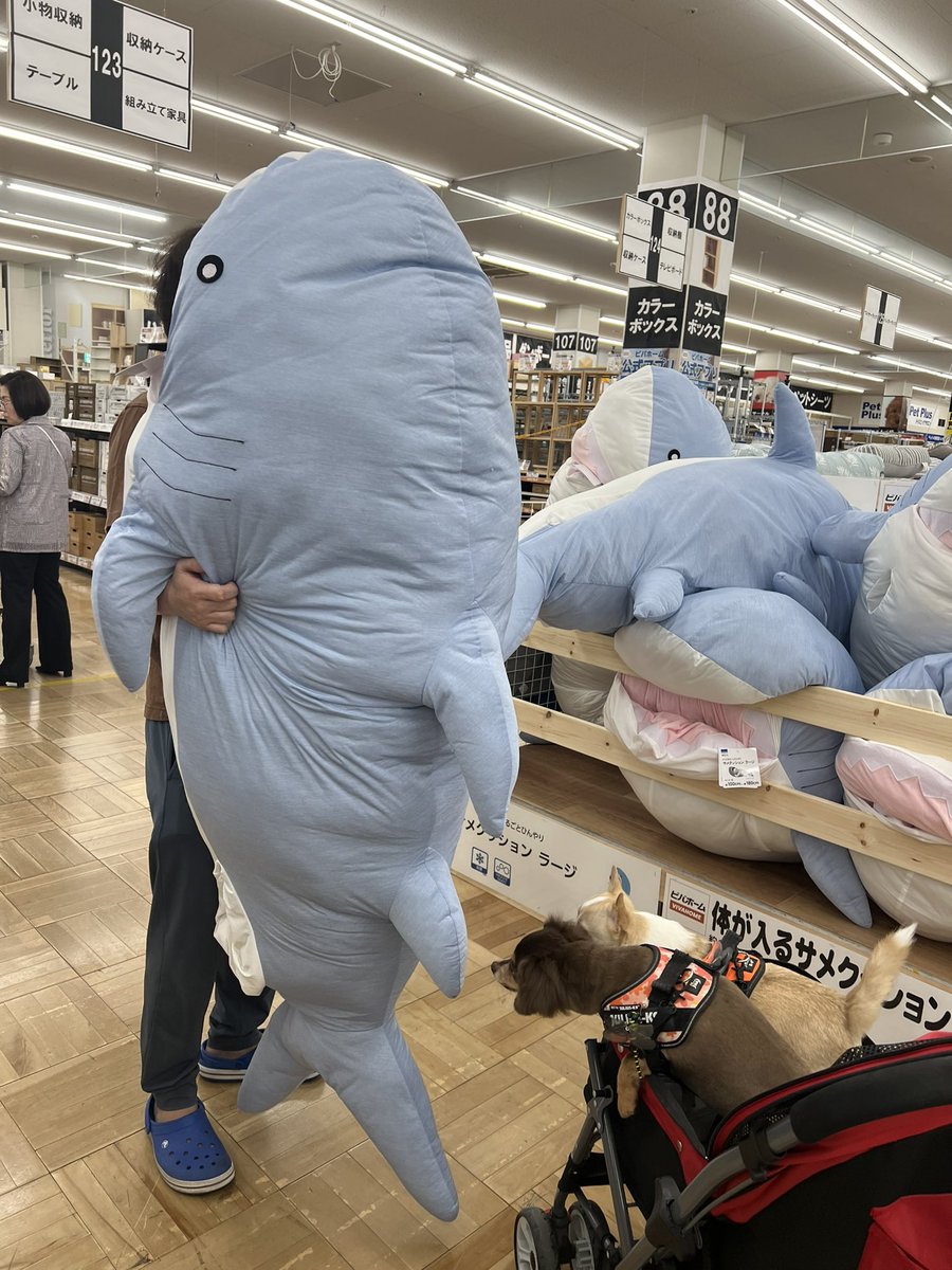 yomeko37927877's tweet photo. チッ…これがエックスのチカラか… https://t.co/eplS4UY35M