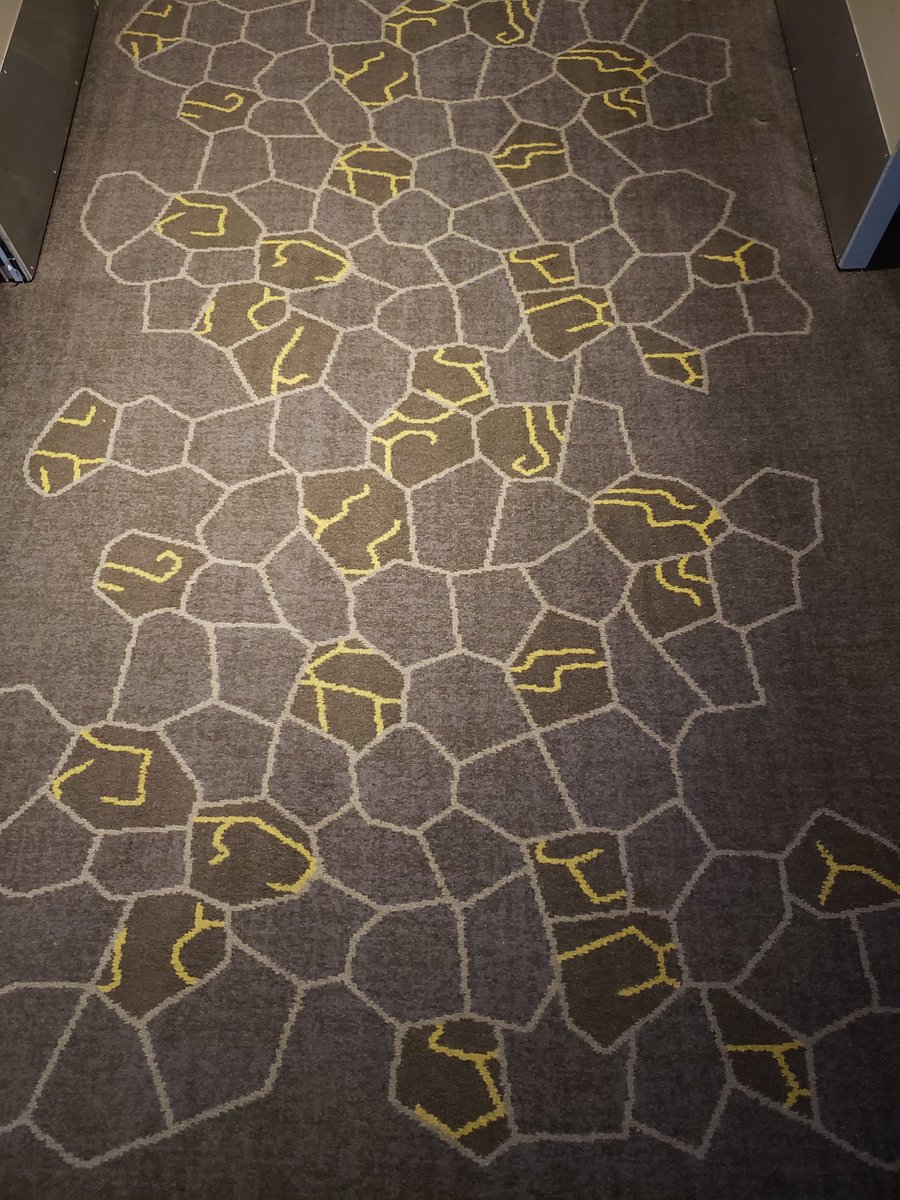 LatorreLab's tweet photo. Maybe I'm still too excited about the #GRCVisualSystems but there seems to be a pigmentation issue in the RPE of my hotel carpet https://t.co/bFZ0ftoE5Z