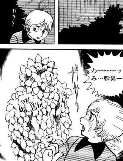 ポインセチアじゃなくてオプンチアだった。
クリスマスの時期に飾られちゃう。 
