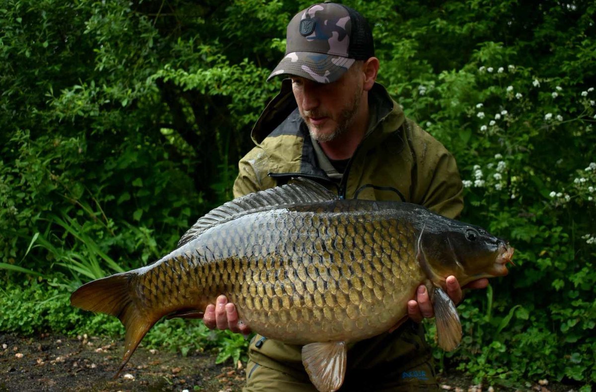 29 Regiment RLC tweet media