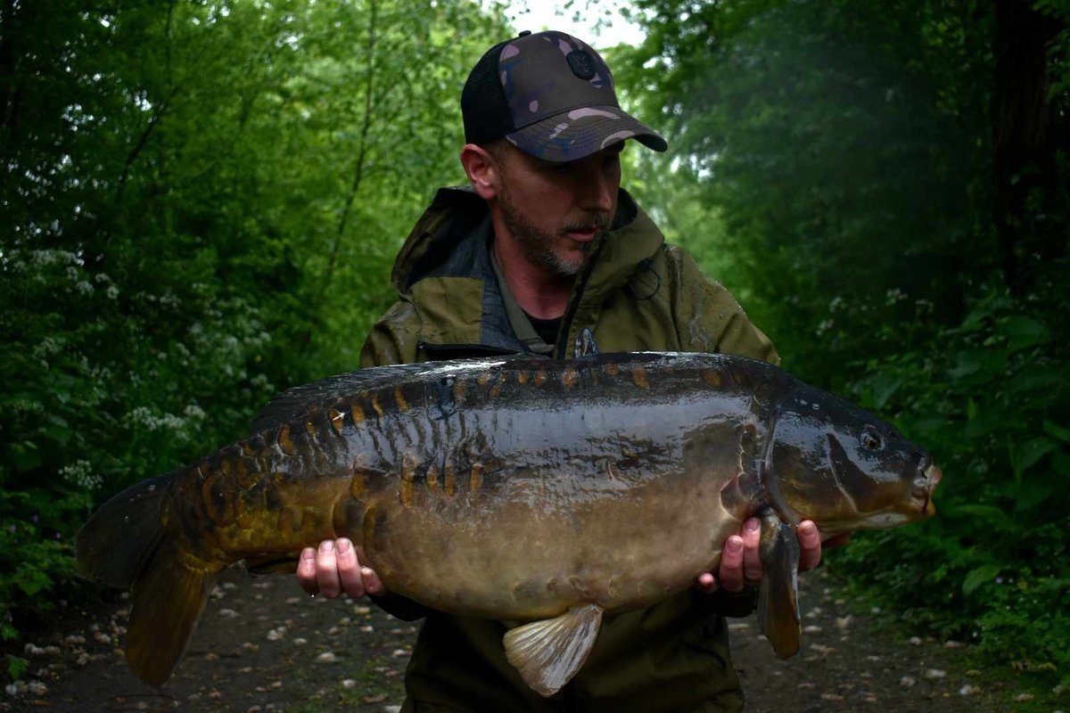 29 Regiment RLC tweet media