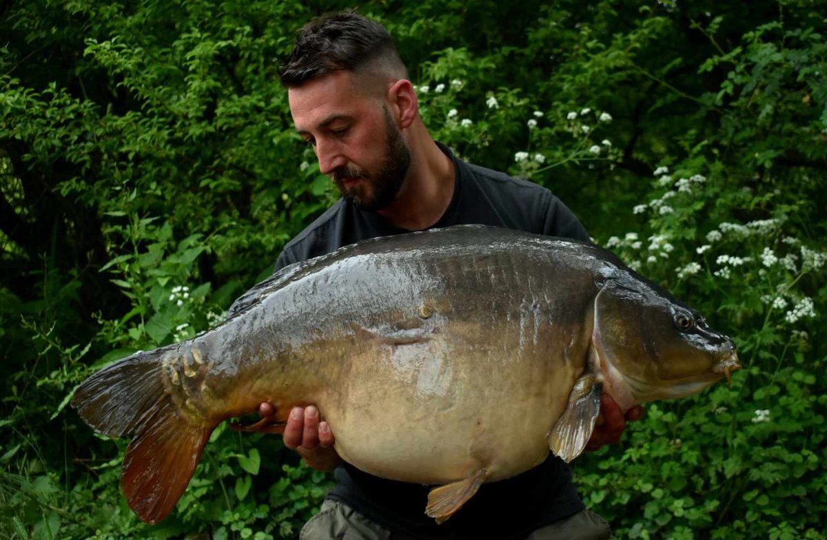 29 Regiment RLC tweet media