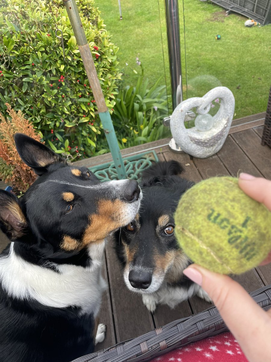 We might both be a bit obsessed… 🎾🎾🎾🎾🎾🎾🎾🎾🎾🎾🎾🎾🎾