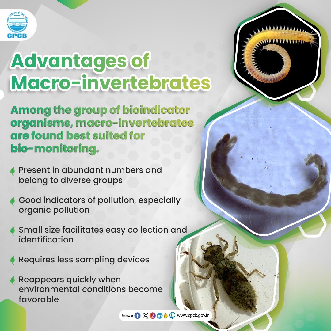 Macro invertebrates such as larvae of stonefly, dragonfly, caddisfly, etc. and worms, leeches, snail, etc. are most suitable to derive saprobic scores that determine the quality of water. #BioMonitoring #BioIndicators #Environment @PIB_India @moefcc @mygovindia