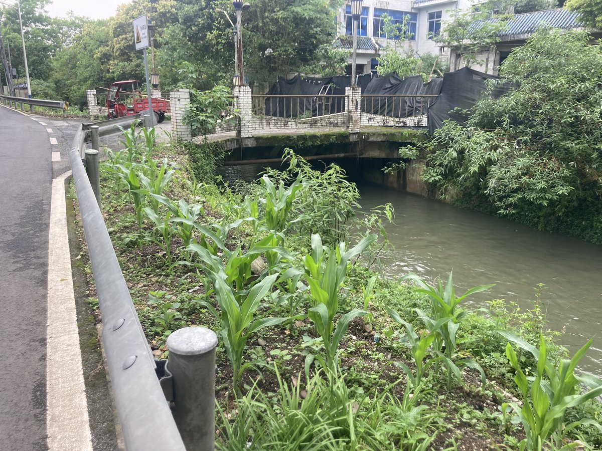 Richard Reynolds tweet media