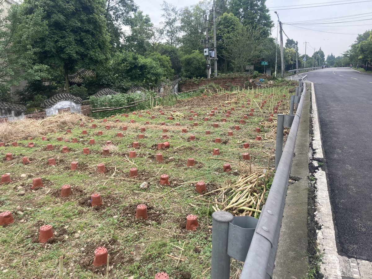 Richard Reynolds tweet media