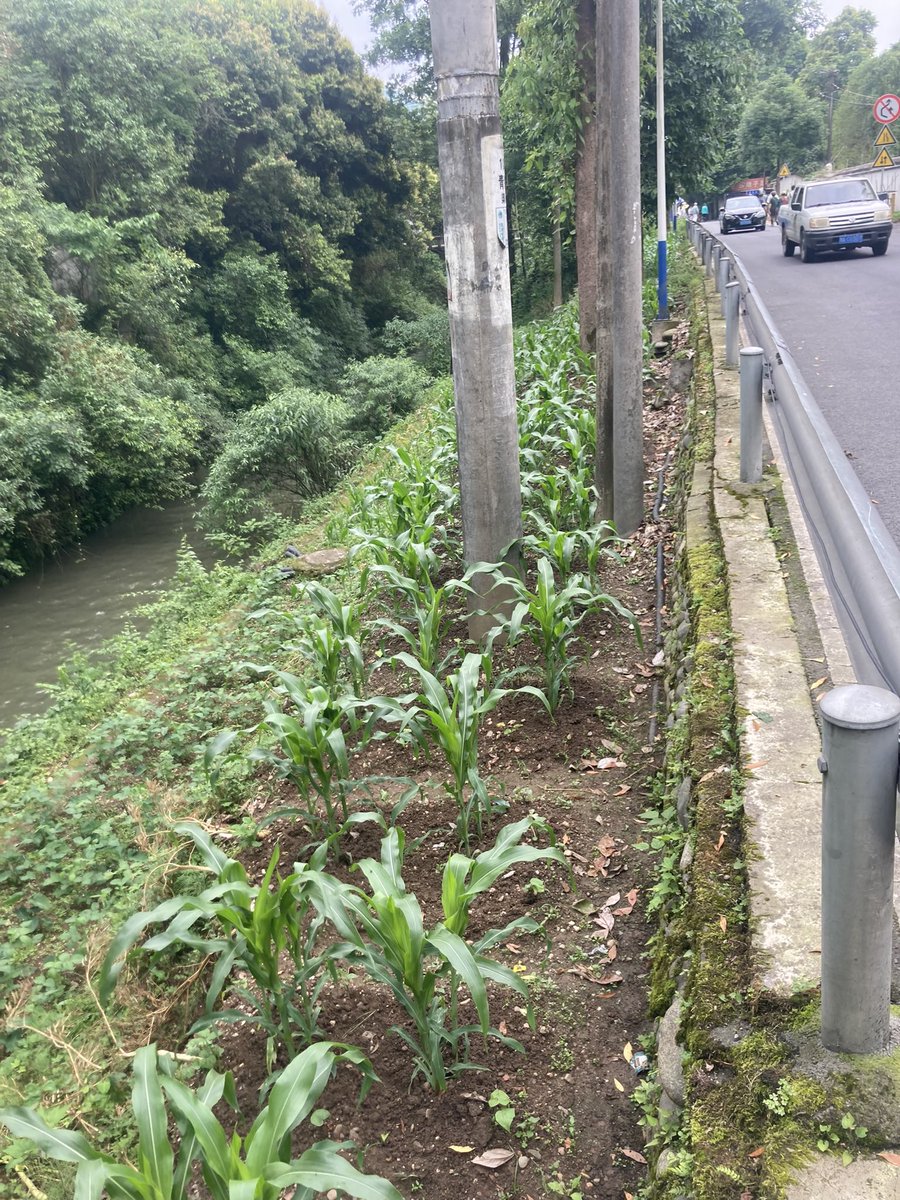 Richard Reynolds tweet media