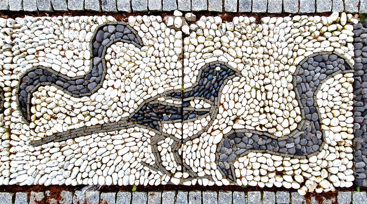 I love this picture of a Magpie made with pebbles. It's part of one of the many public art installations in the Gorbals area of Glasgow.

#glasgow #thegorbals #streetart #glasgowstreetart #publicart #magpie