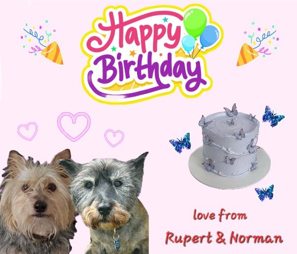 Happy Birthday Tess 🎂 Love from Rupert and Norman xxx @Norman_Dillon1 #BovverBoys