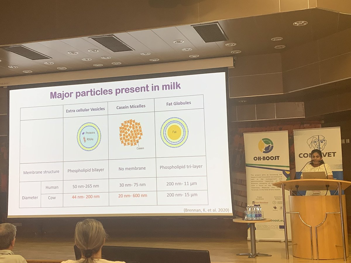 Ohboosteu's tweet photo. On Day 2 of #EVconference2024, our PhD student Madhusha Prasadani delivered a presentation titled, “Milk-derived Extracellular Vesicles Reflect the Metabolic Status of Lactating Cows.” https://t.co/eyhS5LQvKM