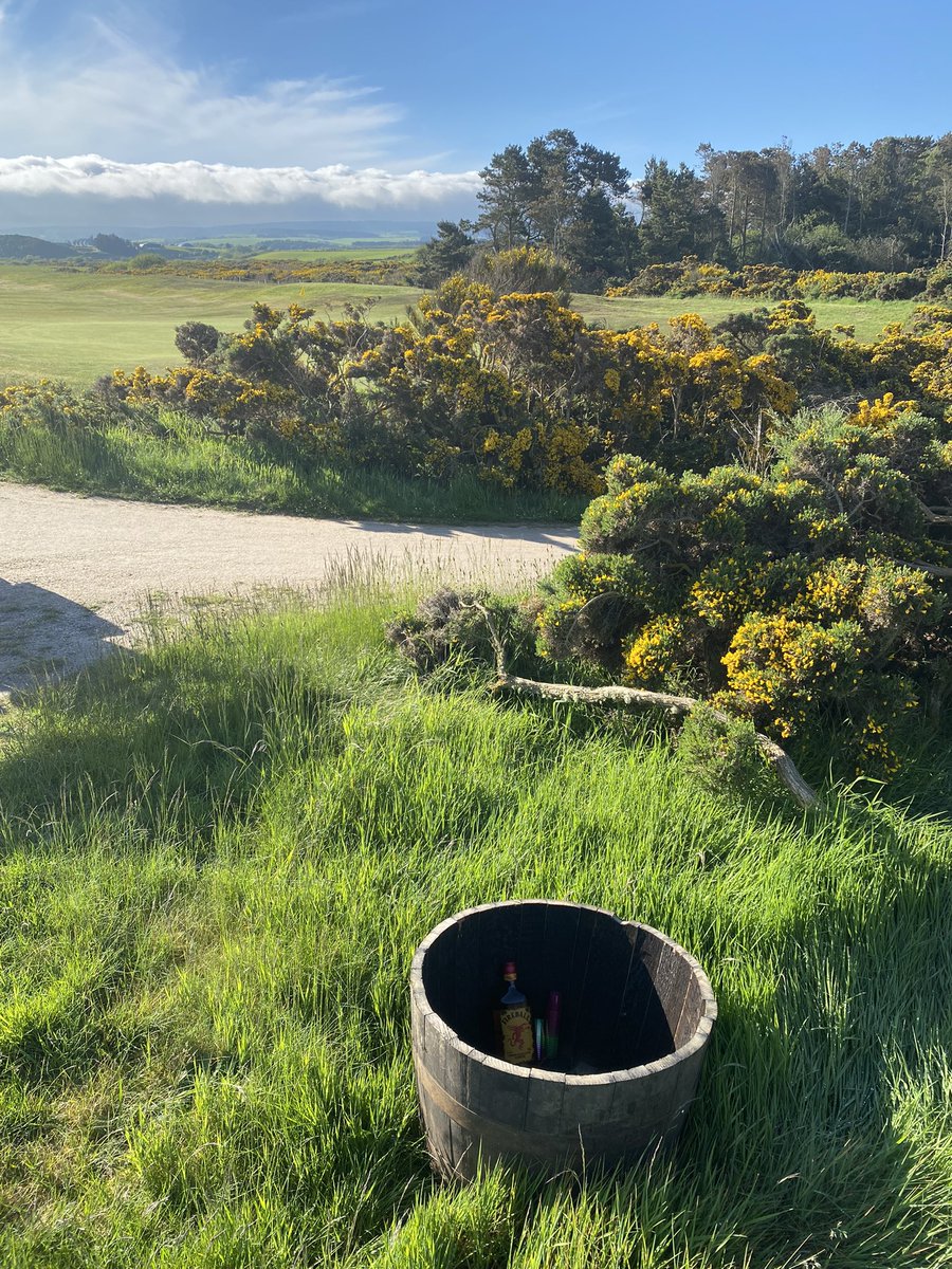We have hidden surprises out on the course @SpeyBayGC for all of our guests and members to enjoy but they were not found yesterday when we went to top up today so feel that @LinksDAO and I have to give you more clues….. here’s a “shot” as the sun rises 😉 #speybayspringmedal