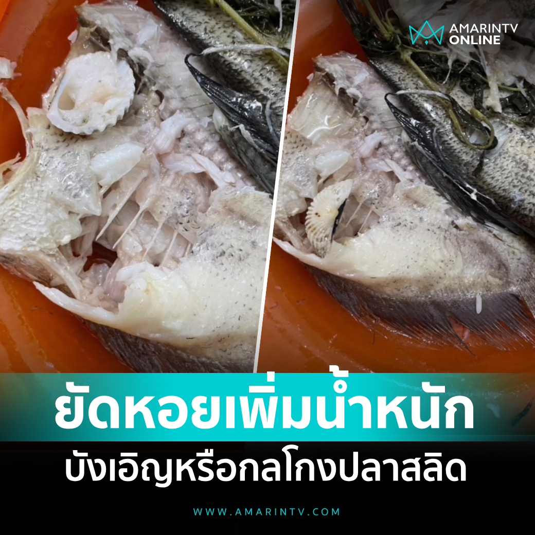 ลูกค้าอึ้ง ซื้อ ปลาสลิด แถมเปลือกหอย ยัดในท้องปลา หัวหมอเพิ่มน้ำหนัก 📌อ่านต่อที่นี่ : amarintv.com/news/detail/21… #amarintvonline #ข่าวอมรินทร์ออนไลน์ #ปลาสลิด #ลูกค้า #นนทบุรี
