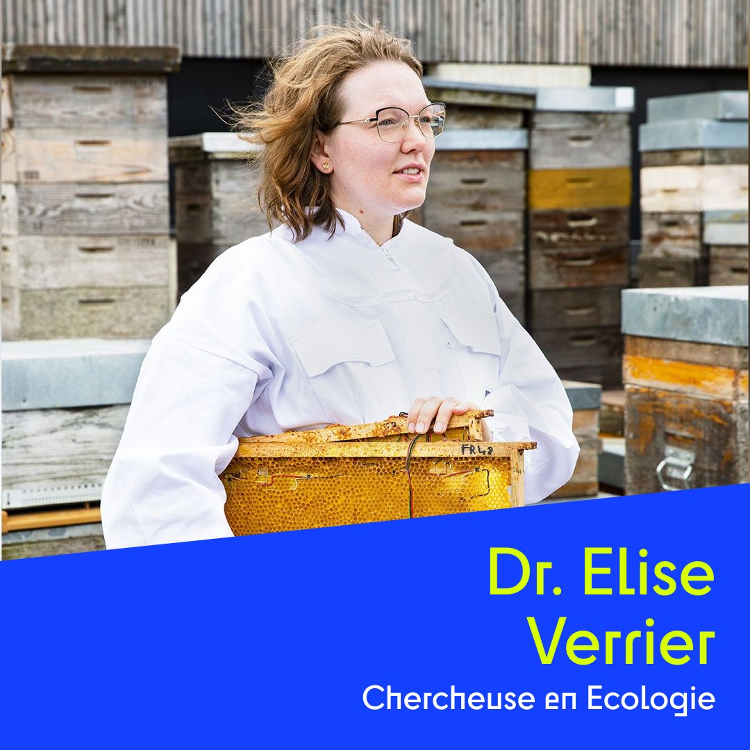 Du Neuf Docteur ? tweet media