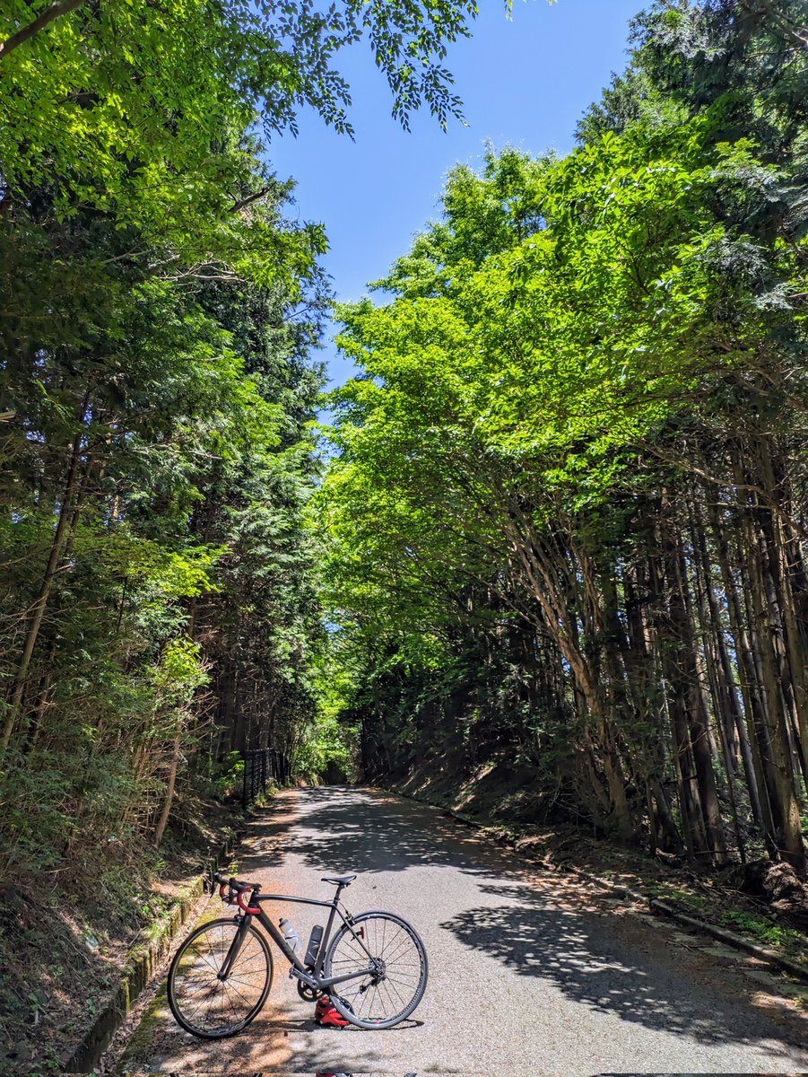 kochiM's tweet photo. 今週も和泉葛城山です。
暑くなってきました。

#自転車
#自転車旅行
#大阪
#和泉葛城山 https://t.co/AgumnaUuHD