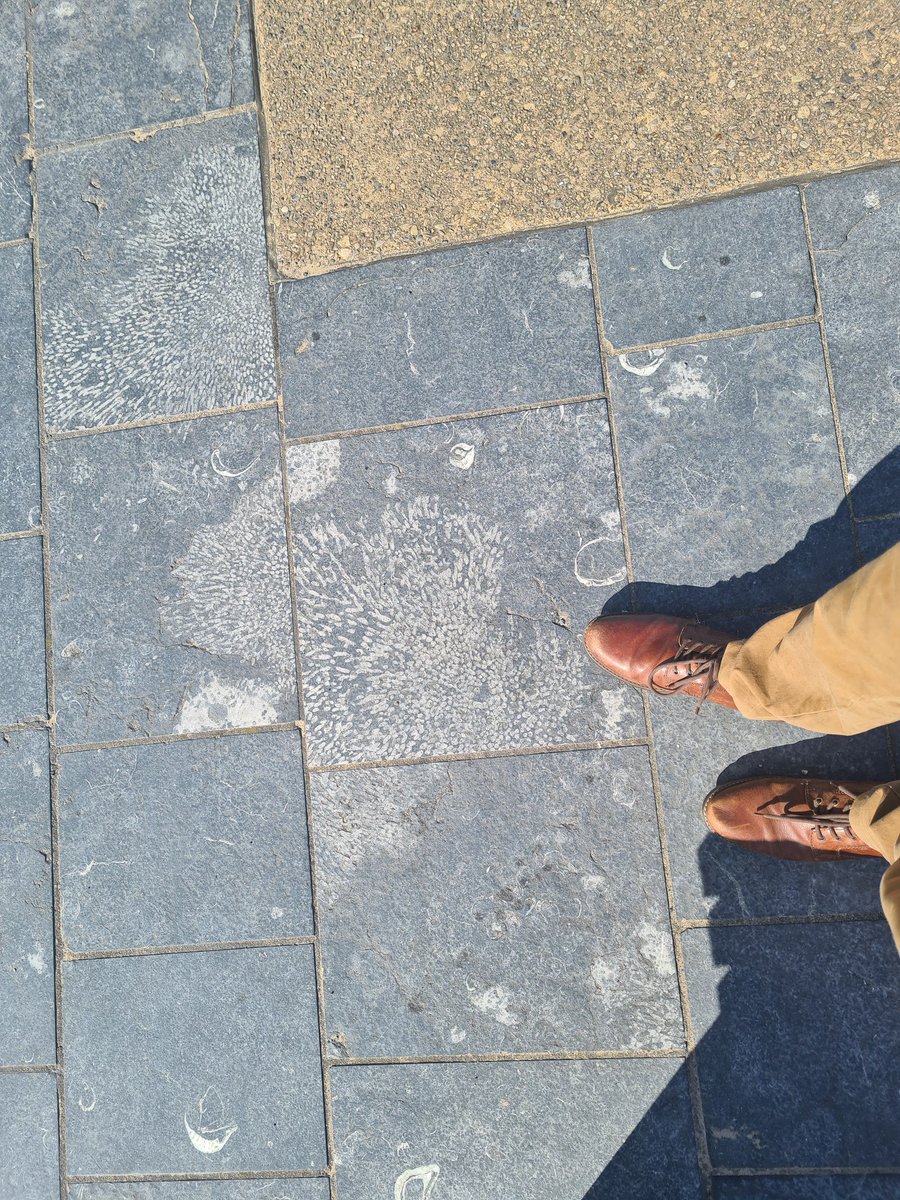 Joseph Keating tweet media