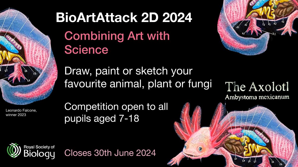 🧑‍🎨Celebrate the benefits of combining art and science! 🔬 Anyone aged 7-18 yrs can draw or paint their favourite animal, plant or fungi for the @RoyalSocBio’s BioArtAttack 2D competition. Find out more, and submit by 30th June at ow.ly/gs9350RTPGG