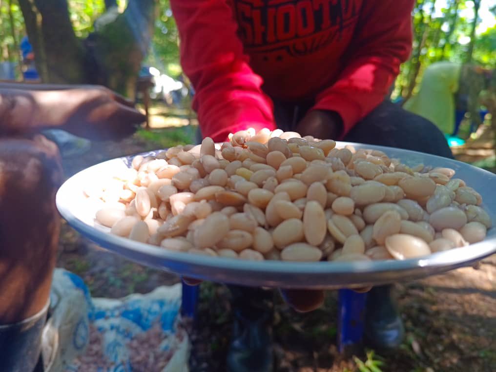 Youth at the Good Food Camp (#GoodFoodCamp24) are currently discovering the world of culinary delights! Through interactive cooking activities, they're learning diverse techniques and essential food safety & handling practices. Join the fun and let's #EatLocal!