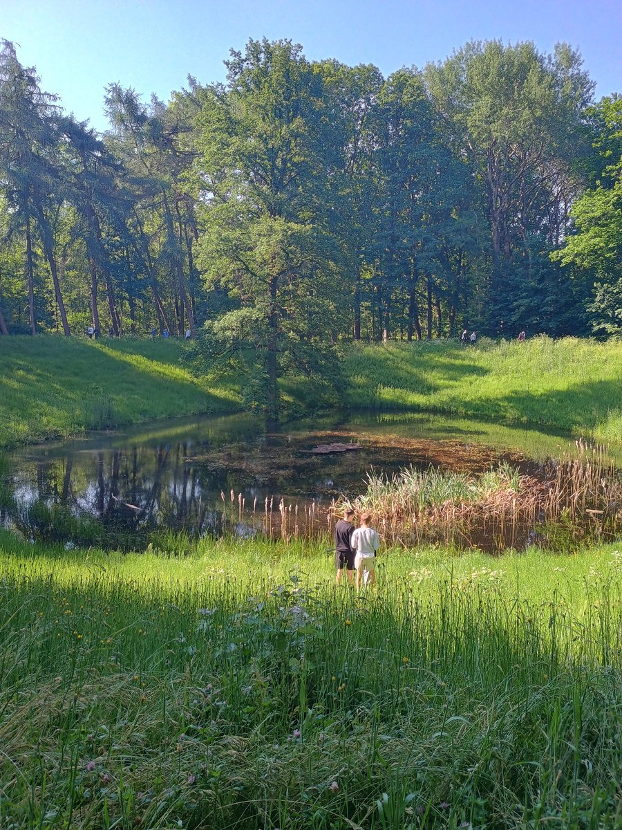 KTSHistory's tweet image. The crater created by an Australian mine at the Caterpillar Hill, one of 19 exploded at 3.20am on 7 June 1917.
