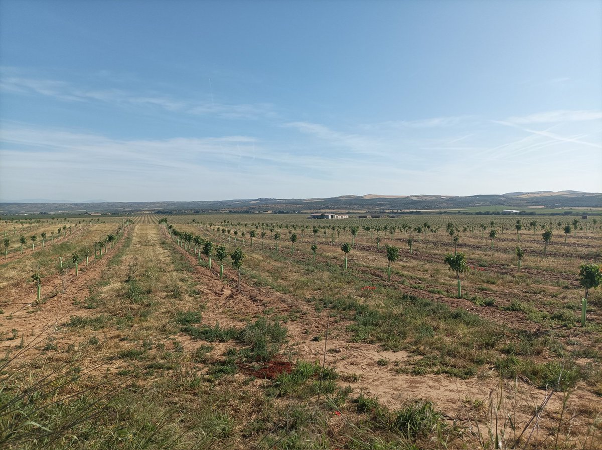 Jesús López Colmenarejo tweet media