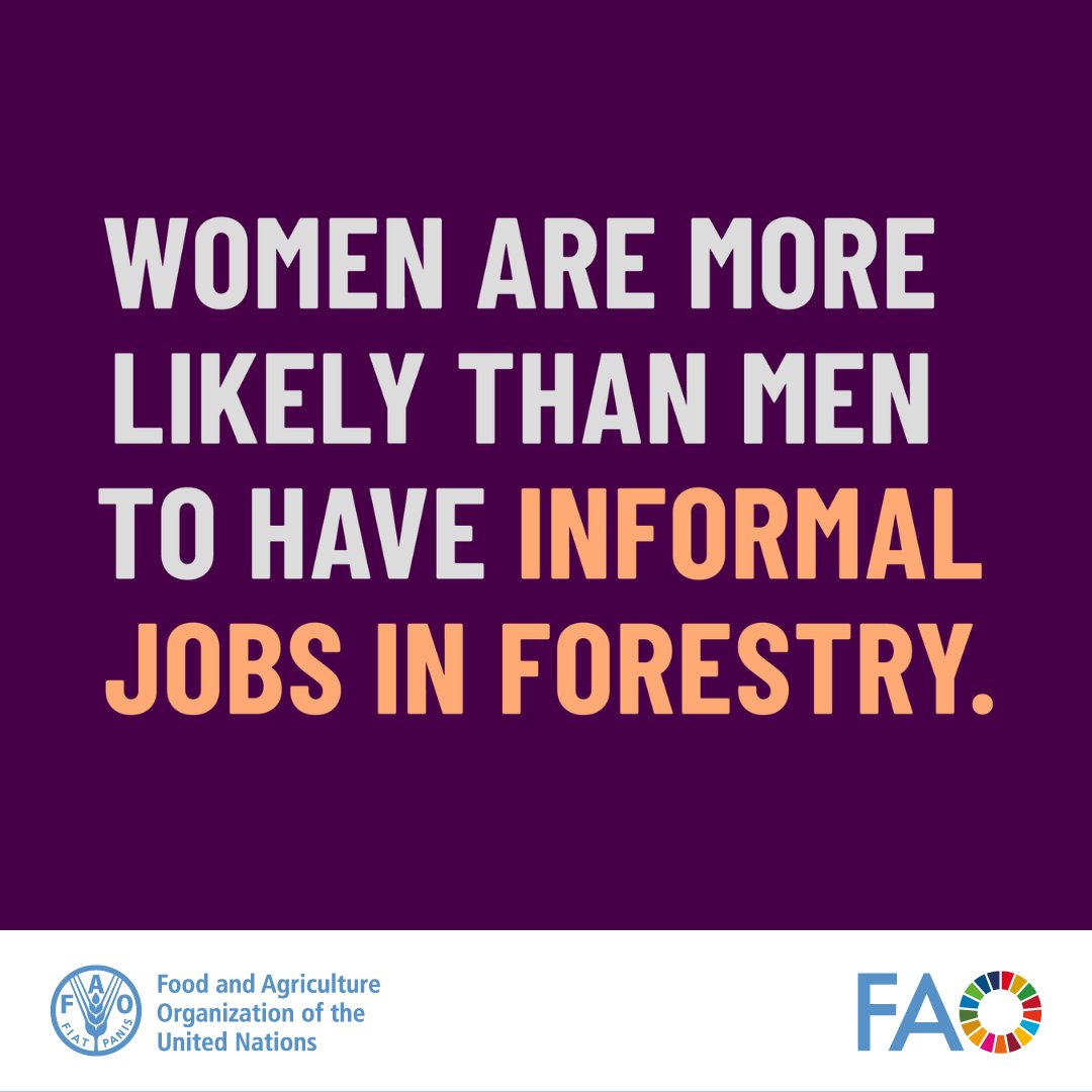 Did you know? Women’s contribution to forestry value chains is often underestimated, as they are frequently employed in informal jobs such as processing and trading of forest products and wild meat 🌳🫐 Learn more 👉 ow.ly/mk5850R1bGB #LetsGrowEquality