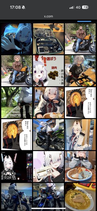 ところどころクソコラがある🤔 