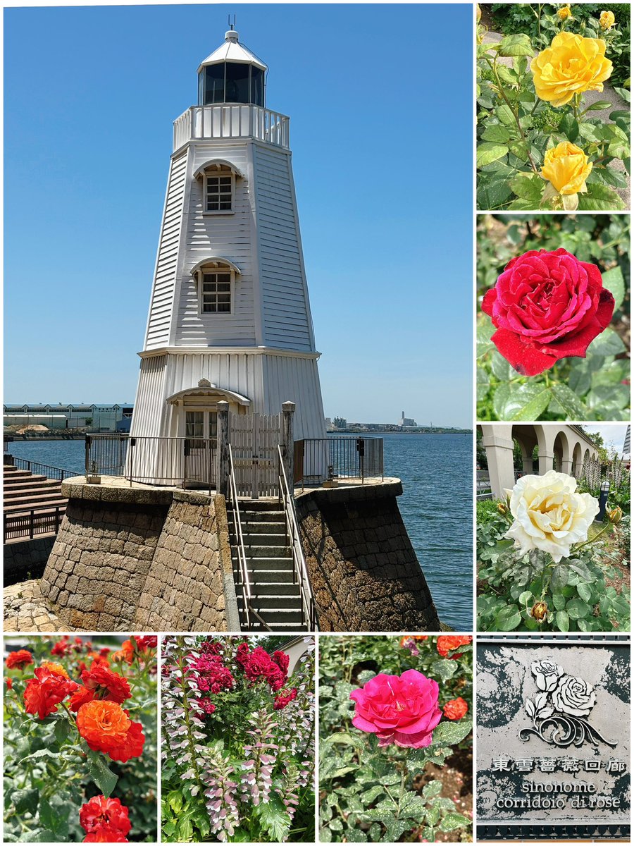本日は
不思議の国のアリス展(大阪高島屋)
旧堺灯台
東雲薔薇回廊
企画展イリュストラシオン(堺アルフォンス・ミュシャ館)をみました!
アートな1日でたくさん刺激を受けました〜〜🎨