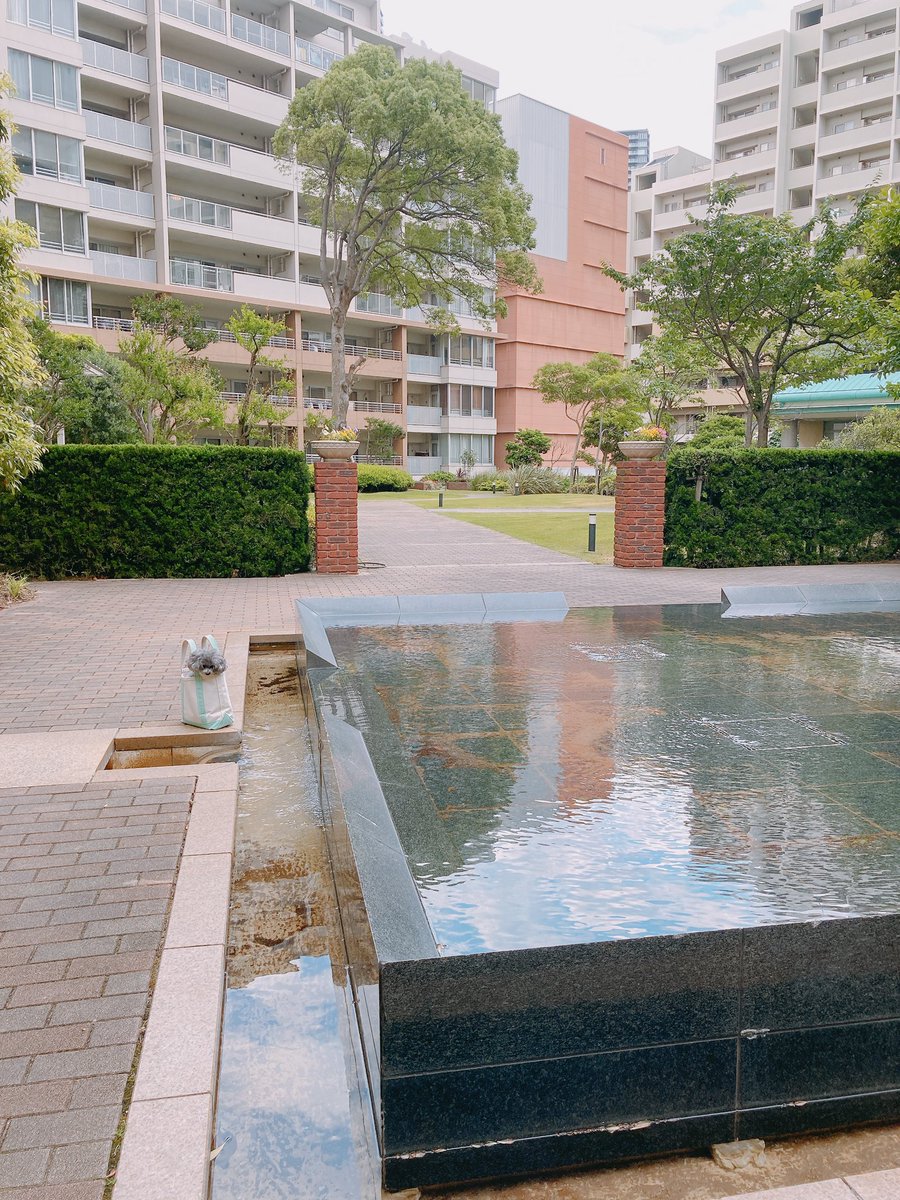 GOGO58227131's tweet photo. クロエを探せ。
find chloe.

#findchloe #クロエを探せ https://t.co/i4OueGgji1