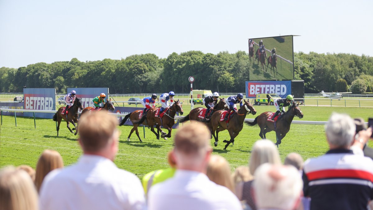 It's @Betfred Temple Stakes Day 🤩 ⏰Gates Open: 11.45 🏇 First Race: 1.15 🏆The Betfred Temple Stakes: 1.50 🏁Last Race: 4.45 🎟️ tickets are available online until 1.15 or on the gate
