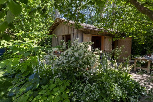 The creation of Tom Stuart-Smith's showstopping garden at RHS Chelsea 2024 trib.al/N9c1Pgq