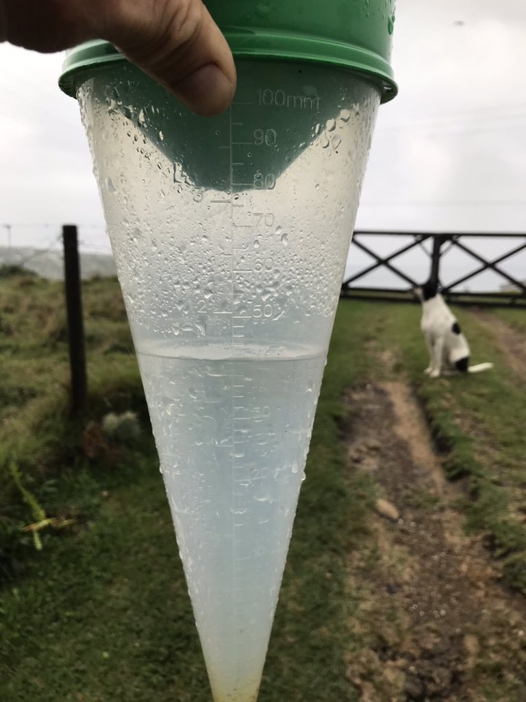 Gloomy views with 40mm of rain received overnight. Garden is smiling. #wildcoast #transkei #accommodation #petfriendly #freewifi #surf #fishing #kayaking #adventure #hiking #beachlife #surfing #dinewithus #workremotely #footprintsbar @SportswaveAndre #StrongerTogether 🌴🎣🥾