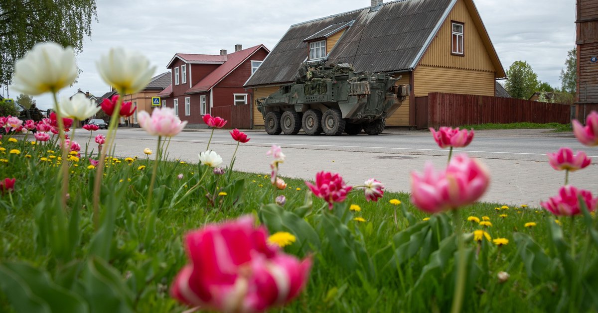 MarKarpinska's tweet image. Doesn't #NATO #eFP Battlegroup Latvia blend in perfectly with the Estonian countryside? 🌷 

They were among 14,000 Allied troops participating in exercise #SpringStorm in Estonia, May 6-17.