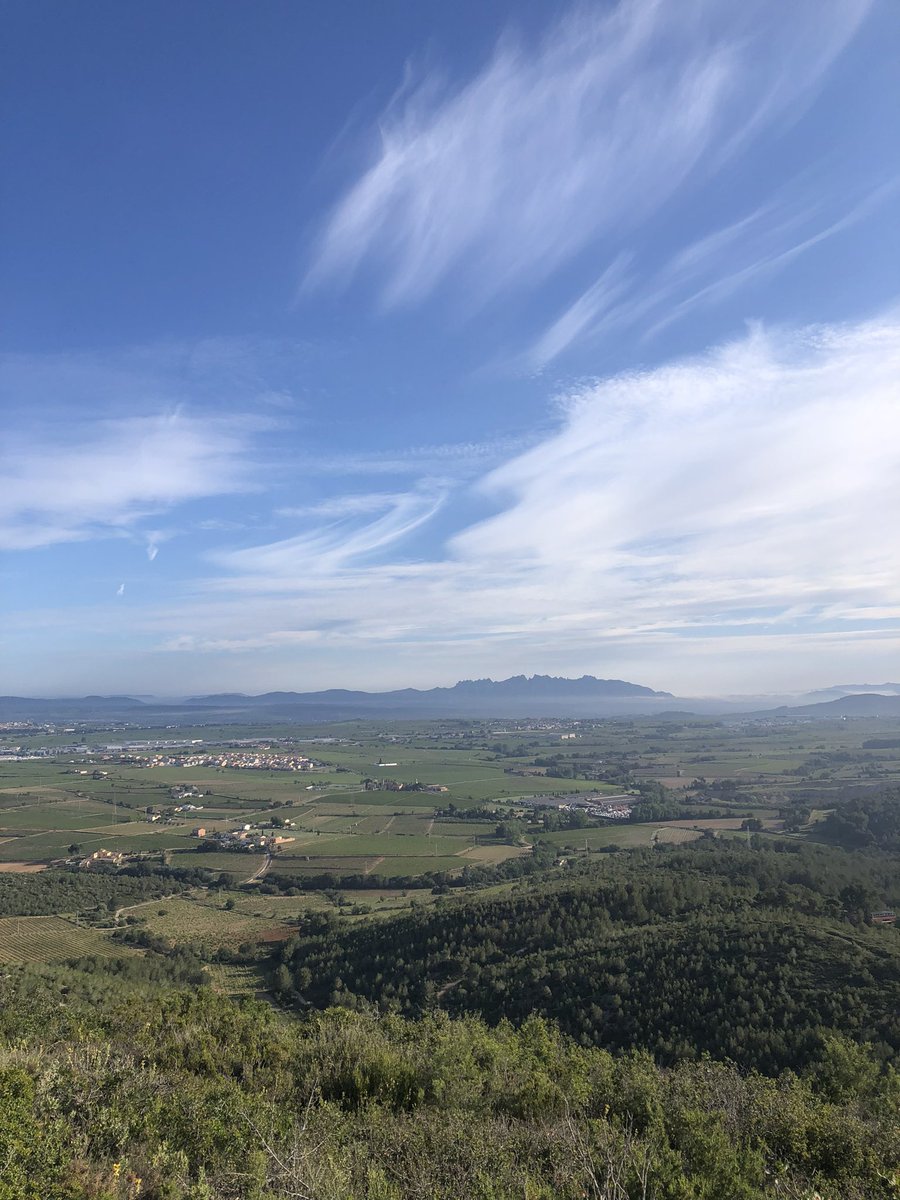 eBadellRoses's tweet photo. Bon dia Penedès
#papiolet https://t.co/9yfAKiaCf6