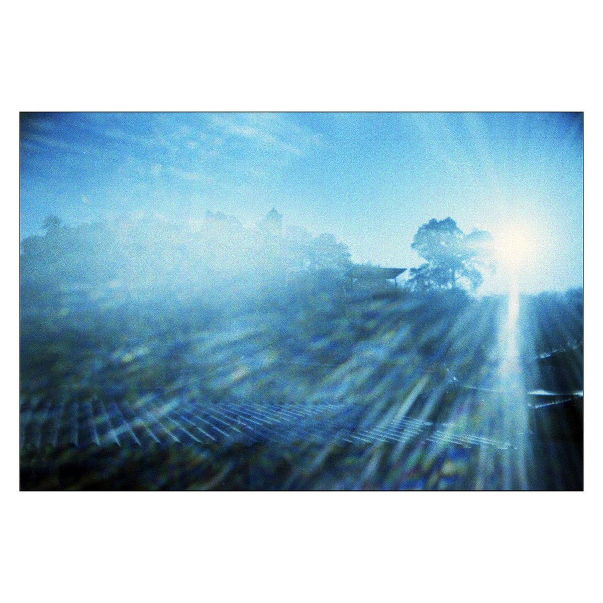 leobellandi's tweet photo. #experimentalphotography #fotografiaanalogica #filmphotography #paesaggioitaliano #colorfilmphotography #fotografiasperimentale #pratosesia #35mmfilm https://t.co/ohYKVVfaXy