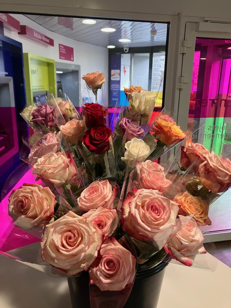 cmb_yffiniac's tweet photo. Ce week-end c’est la fête des mères. Pour cette occasion, une petite attention particulière pour toutes les mamans des agences CMB d’Yffiniac et de Plédran🌹 https://t.co/qnBwKoKQ5s