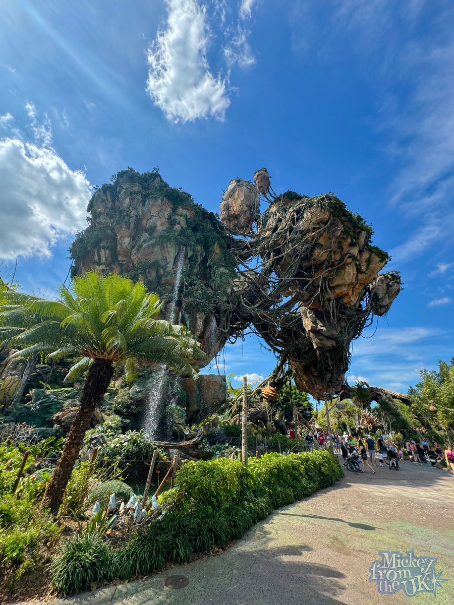 The sun beaming down on the beautiful floating mountains in Pandora - The World Of Avatar at Disney’s Animal Kingdom.

#disneyworld #waltdisneyworld #disneyparksuk #disneyparks #disneyuk #animalkingdom #disneysanimalkingdom #pandora #pandoratheworldofavatar