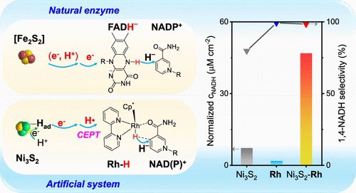 A Coupled System of Ni3S2 and Rh Complex with Biomimetic Function for Electrocatalytic 1,4-NAD(P)H Regeneration

@J_A_C_S #Chemistry #Chemed #Science #TechnologyNews #news #technology #AcademicTwitter #ResearchPapers

pubs.acs.org/doi/10.1021/ja…