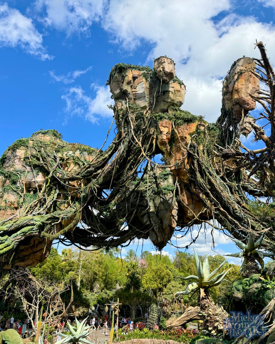 The view of the floating mountains on the way into Flights Of Passage in Pandora - The World Of Avatar at Disney’s Animal Kingdom.

#disneyworld #waltdisneyworld #disneyparksuk #disneyparks #disneyuk #animalkingdom #disneysanimalkingdom #pandora  #avatar