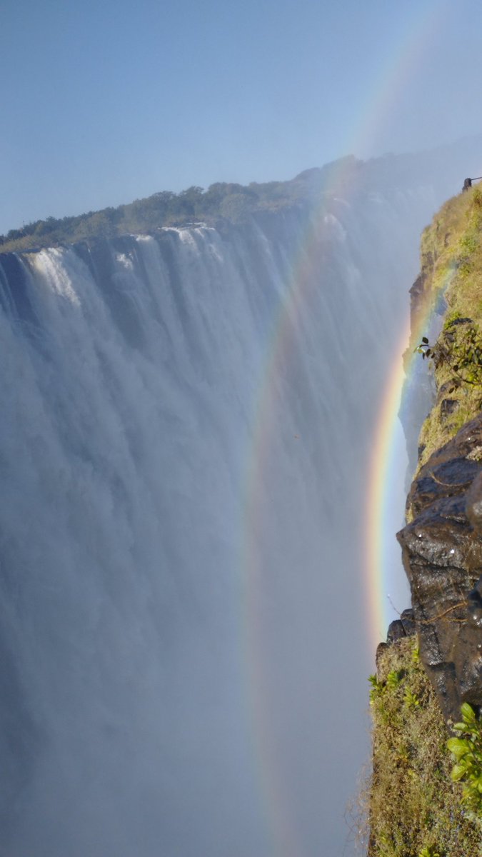 YGardawe's tweet photo. It has been a great pleasure & enriching experience to participate in the #4FDNAS, an event that brings together African and International Forensic Experts. This year, it was held in Livingstone, Zambia, near the spectacular Victoria Falls. @DNAforAfrica https://t.co/z8selImKdX