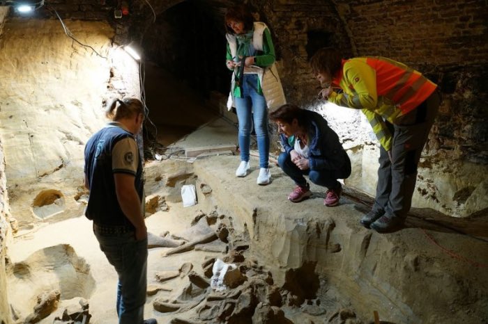 Un descubrimiento arqueológico de gran relevancia se ha producido en una bodega de #vino en Austria, donde se han desenterrado cientos de huesos de mamut. Estos restos, que se estima tienen entre 30.000 y 40.000 años de antigüedad vinetur.com/2024052479752/… vía @vinetur