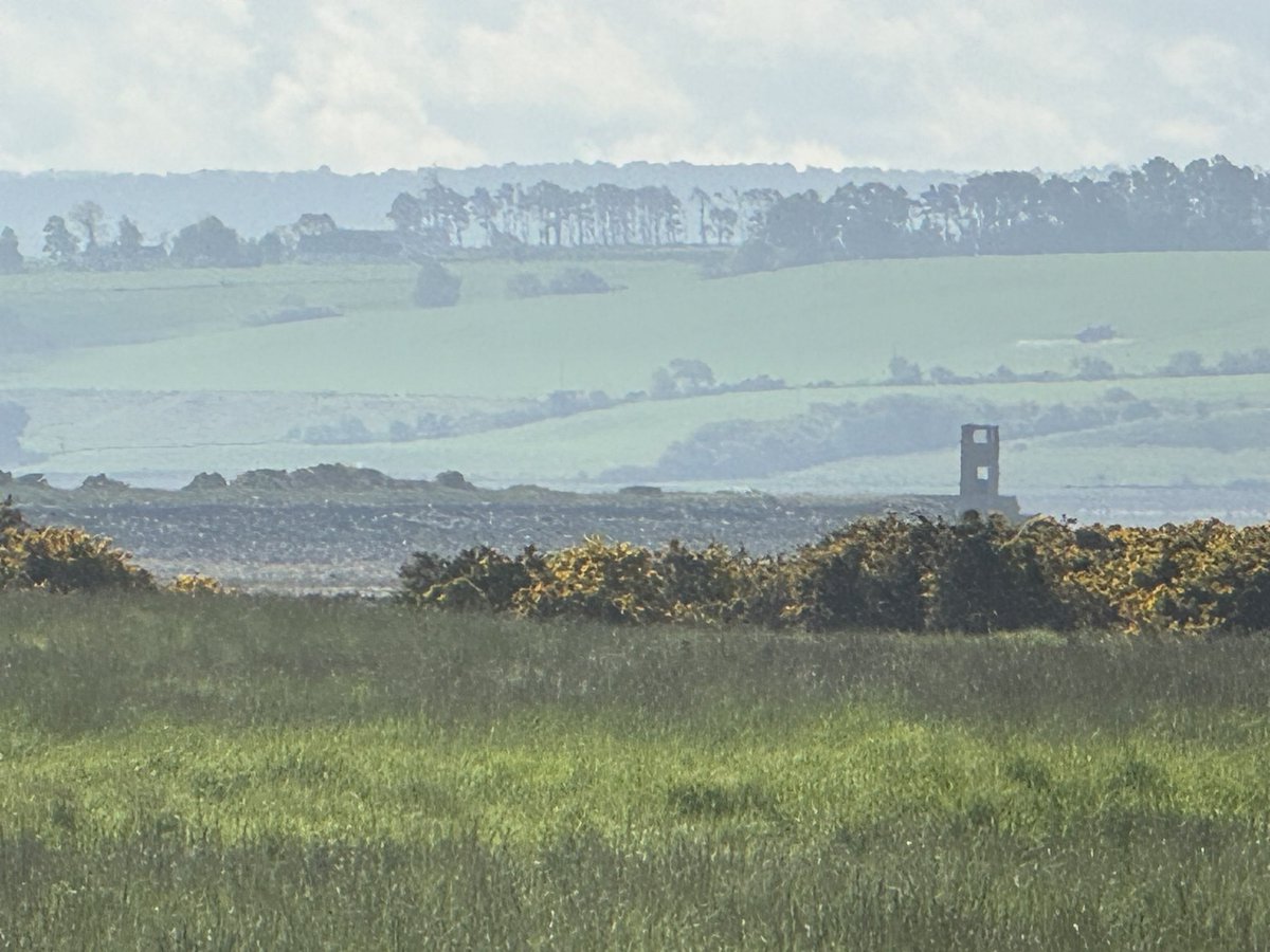 Shelly Munro 💙🏴󠁧󠁢󠁳󠁣󠁴󠁿 tweet media